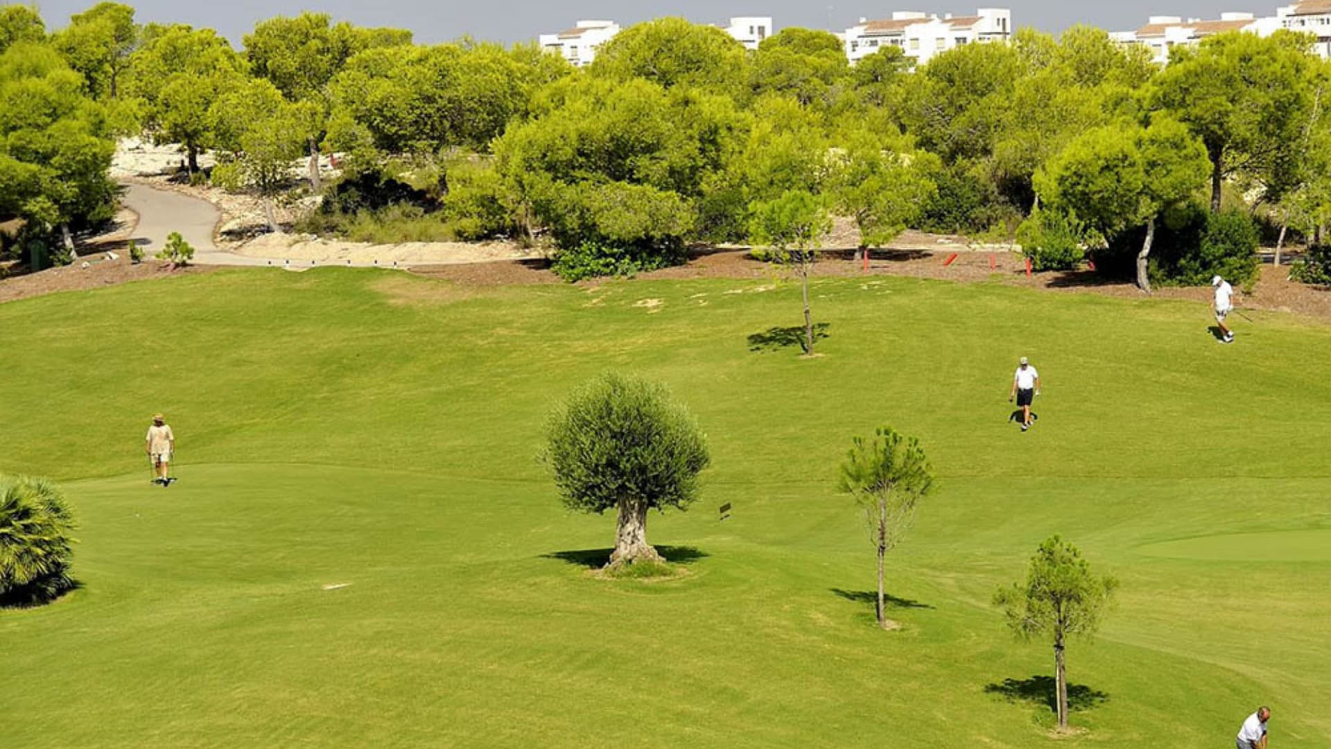 Golf competition in Las Colinas Golf & Country Club in a golf court